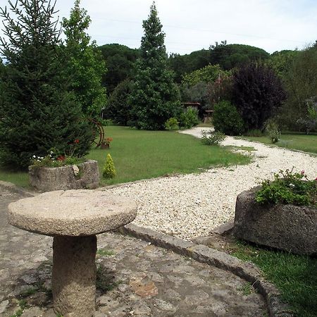 Quinta Do Sobreiro - Country House Otel Facha Oda fotoğraf